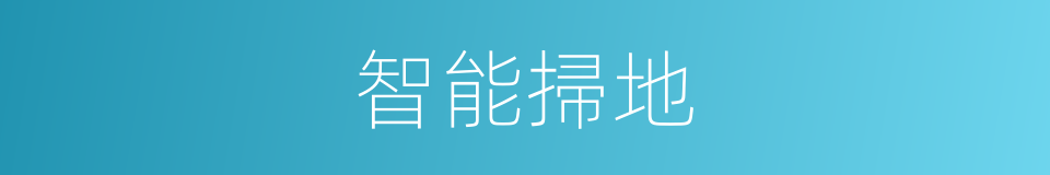 智能掃地的同義詞