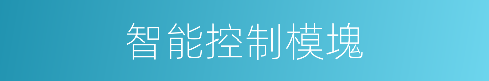 智能控制模塊的同義詞