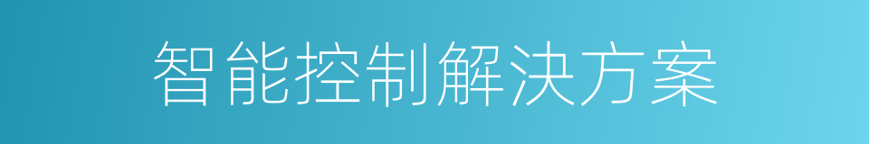 智能控制解決方案的同義詞