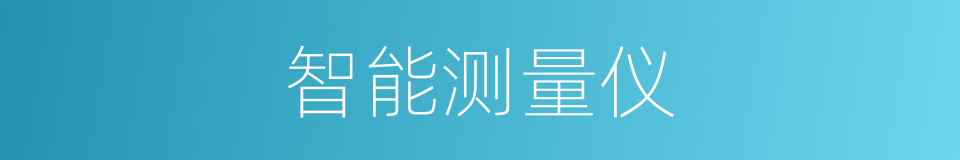 智能测量仪的同义词
