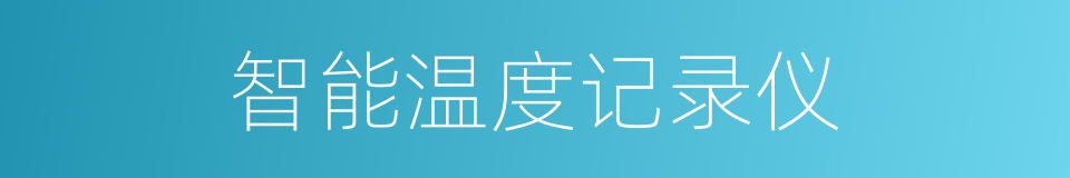 智能温度记录仪的同义词