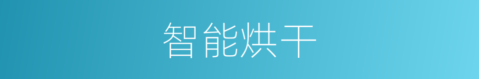 智能烘干的同义词