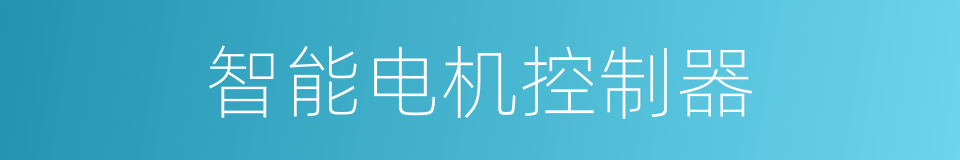 智能电机控制器的同义词
