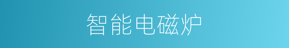 智能电磁炉的同义词