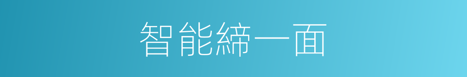 智能締一面的同義詞