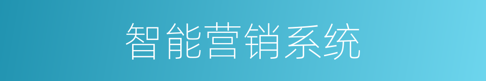 智能营销系统的同义词
