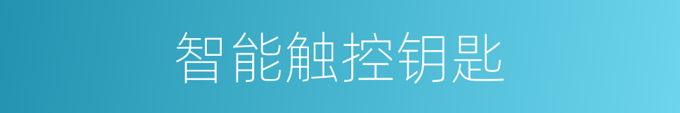 智能触控钥匙的同义词