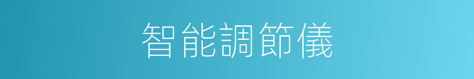 智能調節儀的同義詞