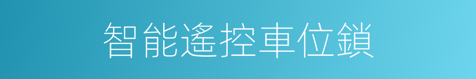 智能遙控車位鎖的同義詞