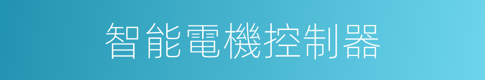 智能電機控制器的同義詞