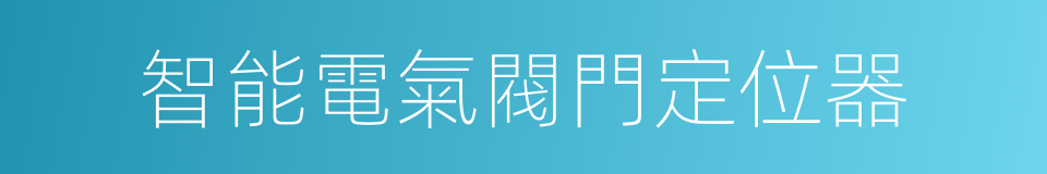 智能電氣閥門定位器的同義詞