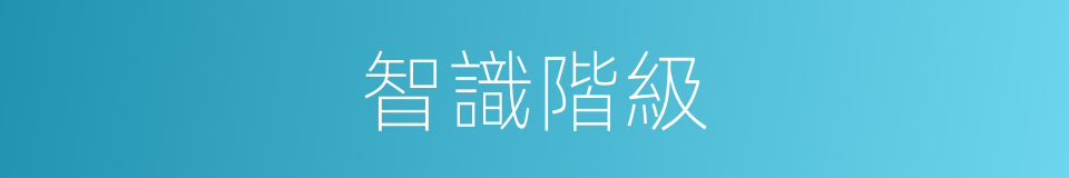 智識階級的意思