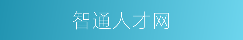 智通人才网的同义词