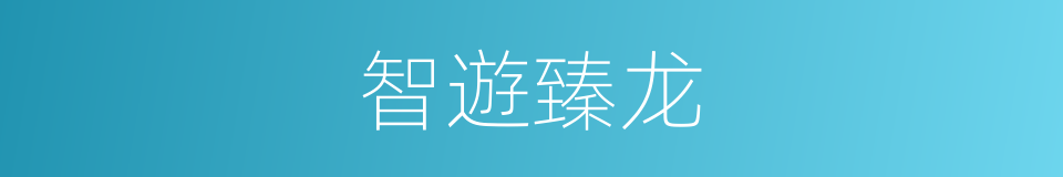 智遊臻龙的同義詞