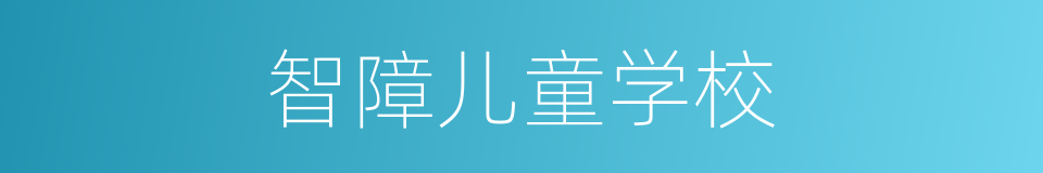 智障儿童学校的同义词