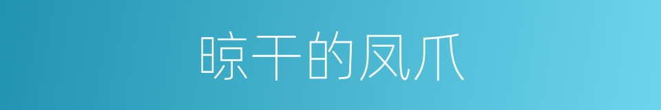 晾干的凤爪的同义词
