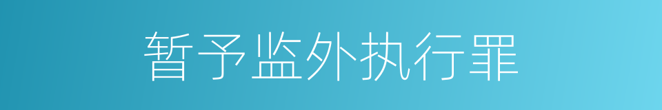 暂予监外执行罪的同义词