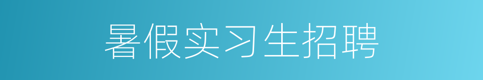 暑假实习生招聘的同义词