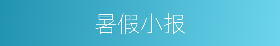 暑假小报的同义词