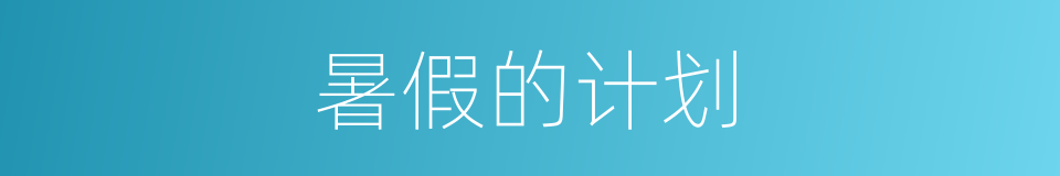 暑假的计划的同义词