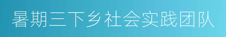 暑期三下乡社会实践团队的同义词