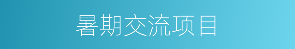 暑期交流项目的同义词