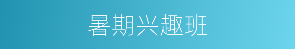暑期兴趣班的同义词