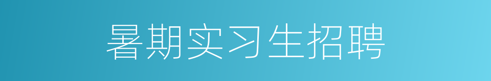 暑期实习生招聘的同义词