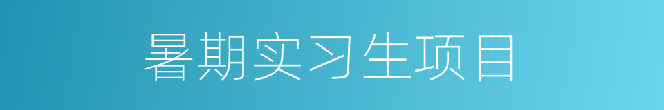 暑期实习生项目的同义词