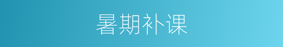 暑期补课的同义词