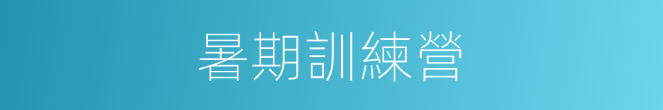 暑期訓練營的同義詞