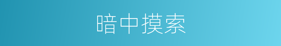 暗中摸索的意思