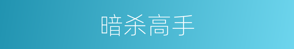 暗杀高手的同义词