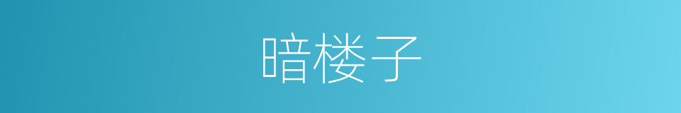 暗楼子的意思