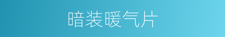 暗装暖气片的同义词