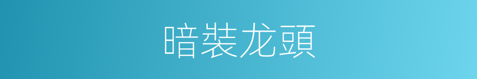 暗裝龙頭的同義詞