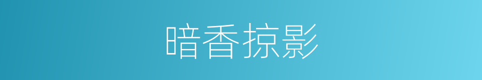 暗香掠影的同义词