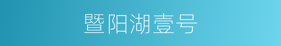 暨阳湖壹号的同义词