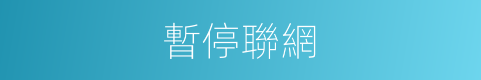 暫停聯網的同義詞