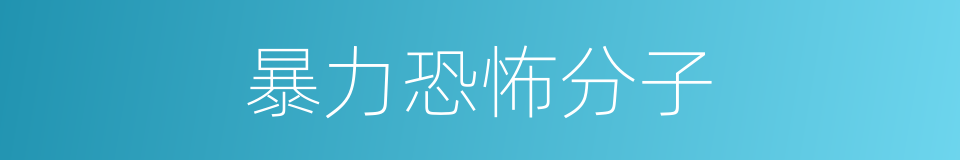 暴力恐怖分子的同义词