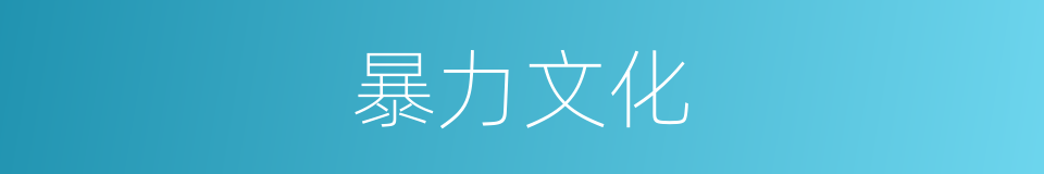 暴力文化的同义词