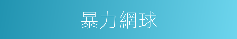 暴力網球的同義詞