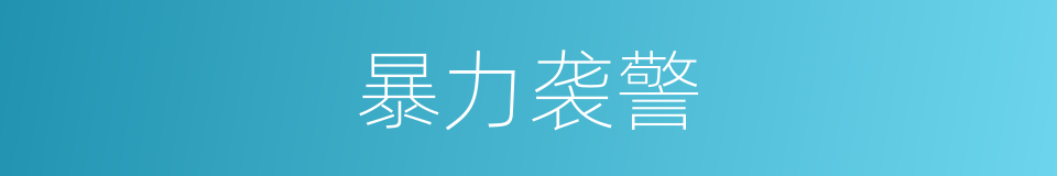 暴力袭警的同义词