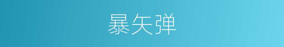 暴矢弹的同义词