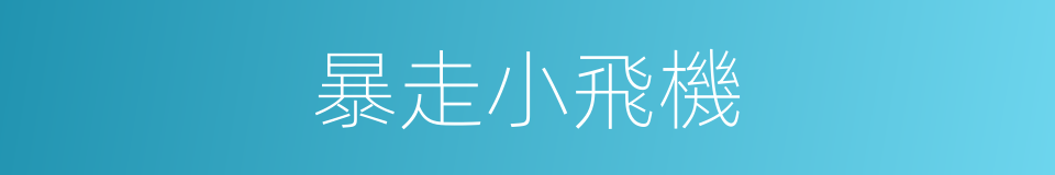 暴走小飛機的同義詞