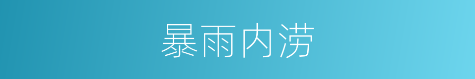 暴雨内涝的同义词