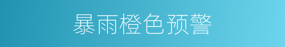 暴雨橙色预警的同义词
