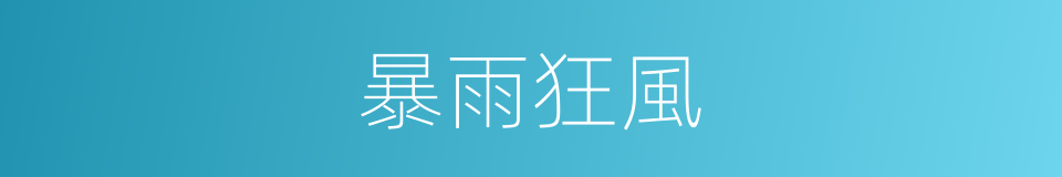 暴雨狂風的同義詞