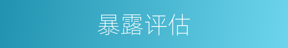 暴露评估的同义词