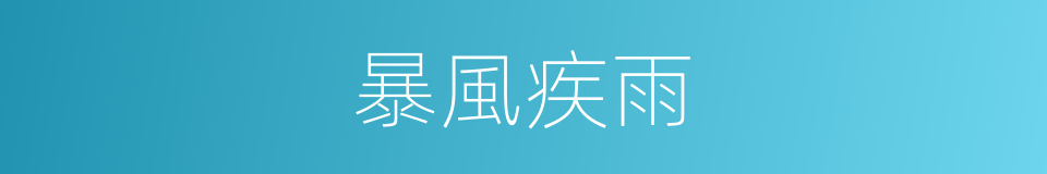 暴風疾雨的意思